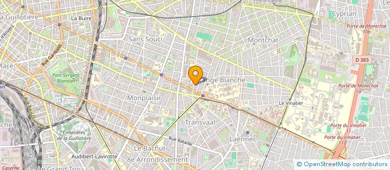 localisation de l'entreprise MONSIEUR SYLVESTRE MARTIN  LYON