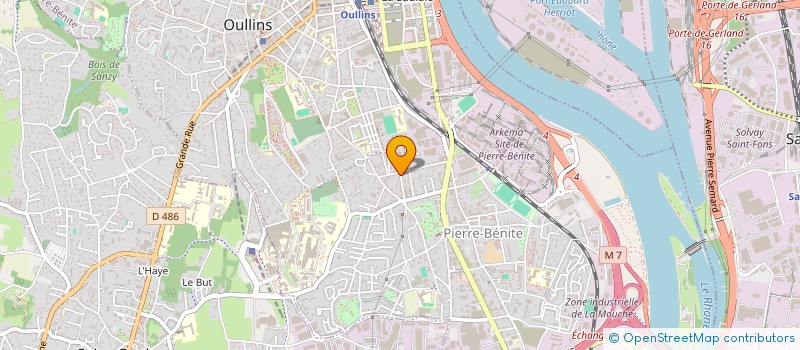 localisation de l'entreprise MONSIEUR SYLVESTRE RICHIN  OULLINS-PIERRE-BENITE
