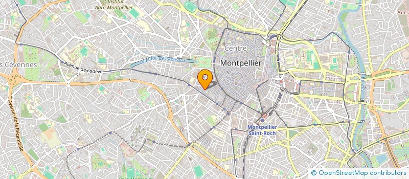 localisation de l'entreprise MONSIEUR TADEVOS STEPANYAN à MONTPELLIER