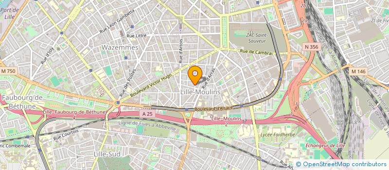 localisation de l'entreprise MONSIEUR TAHIR TAHIRZADE  LILLE