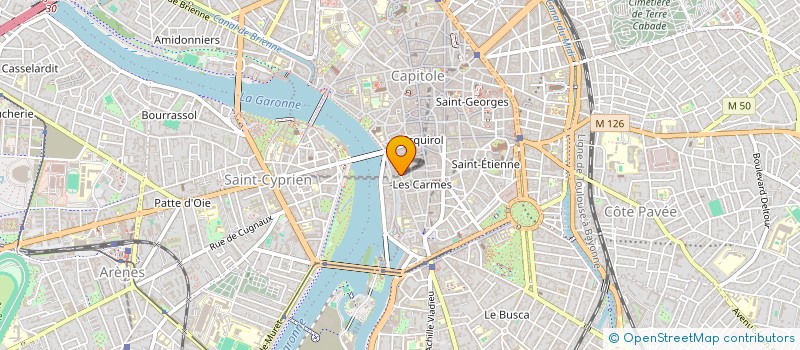 localisation de l'entreprise MONSIEUR TAICYR ANTOUN FADEL à TOULOUSE