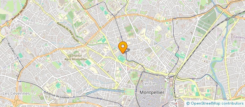 localisation de l'entreprise MONSIEUR TAMIM MOHAMADI à MONTPELLIER