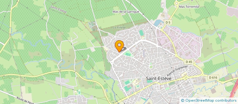 localisation de l'entreprise MONSIEUR TANER COSGUN  SAINT-ESTEVE