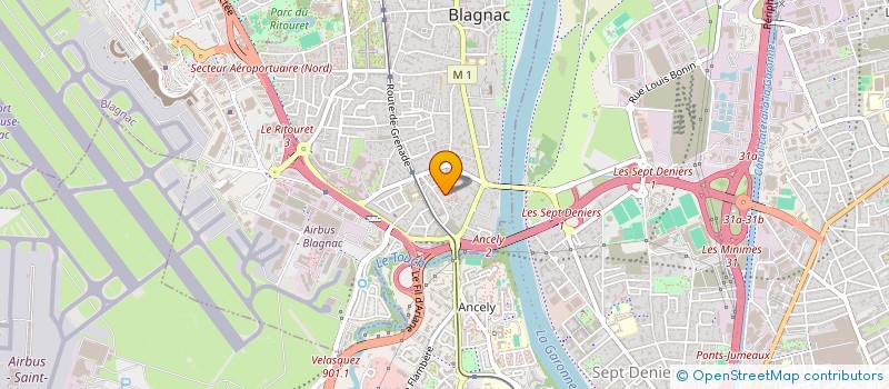 localisation de l'entreprise MONSIEUR TANGUI REBULLIDA  BLAGNAC