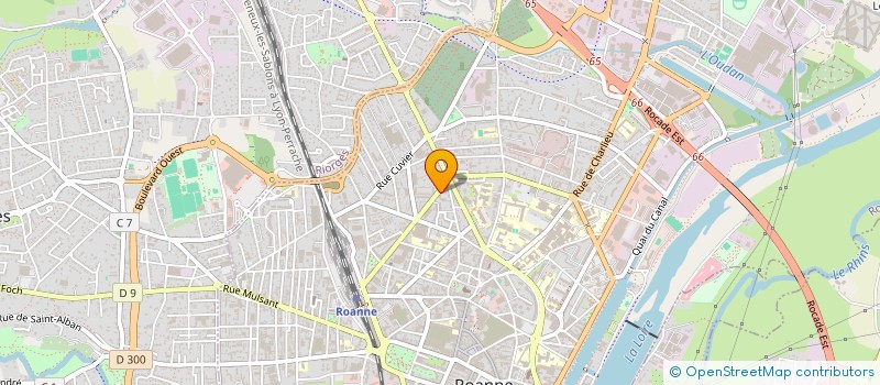 localisation de l'entreprise MONSIEUR TANGUY DERUMAUX  ROANNE