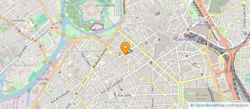 localisation de l'entreprise MONSIEUR TANGUY DESOMBRE  LILLE