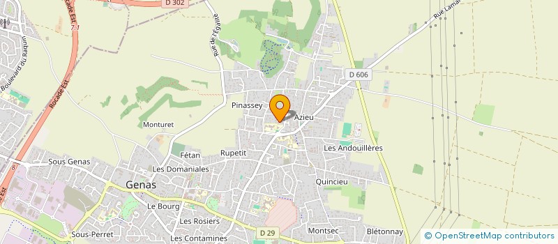 localisation de l'entreprise MONSIEUR TANGUY JIMENEZ à GENAS