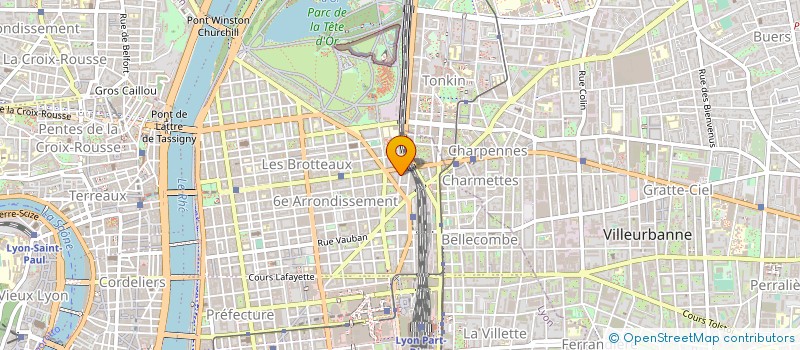 localisation de l'entreprise MONSIEUR TANGUY LESIMPLE  LYON