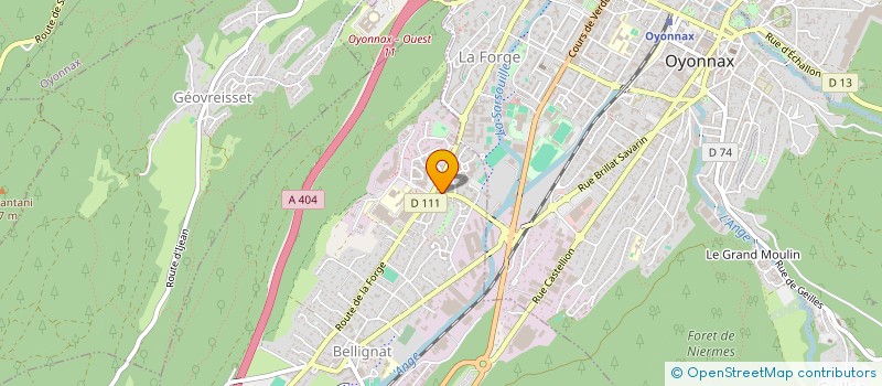 localisation de l'entreprise MONSIEUR TANGUY LOYERS  BELLIGNAT