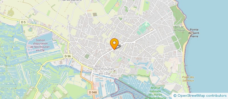 localisation de l'entreprise MONSIEUR TANGUY RAIMONDEAU  NOIRMOUTIER-EN-L'ILE