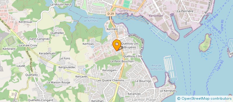 localisation de l'entreprise MONSIEUR TANGUY REDON à LARMOR-PLAGE