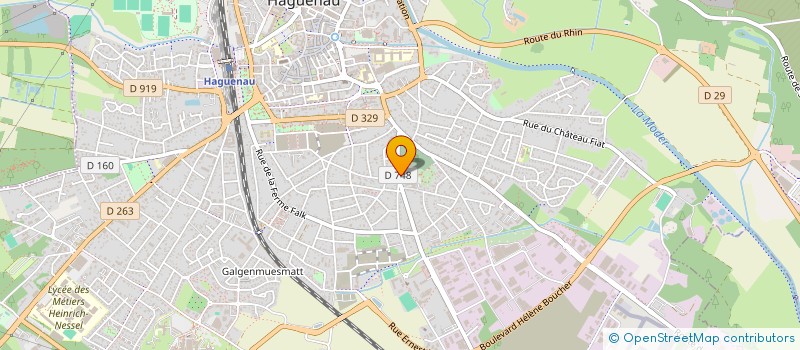 localisation de l'entreprise MONSIEUR TANGUY SIMON  HAGUENAU