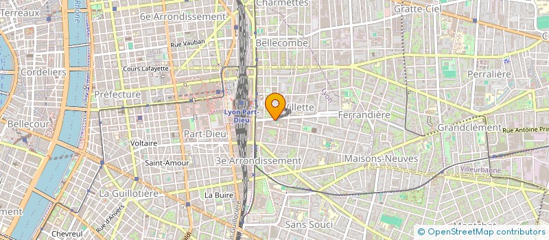 localisation de l'entreprise MONSIEUR TAREK BEN AHMED  LYON