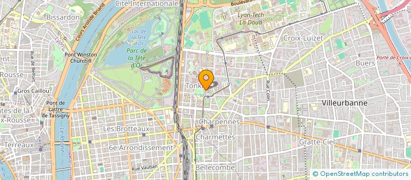 localisation de l'entreprise MONSIEUR TAREK LEKSIR  VILLEURBANNE