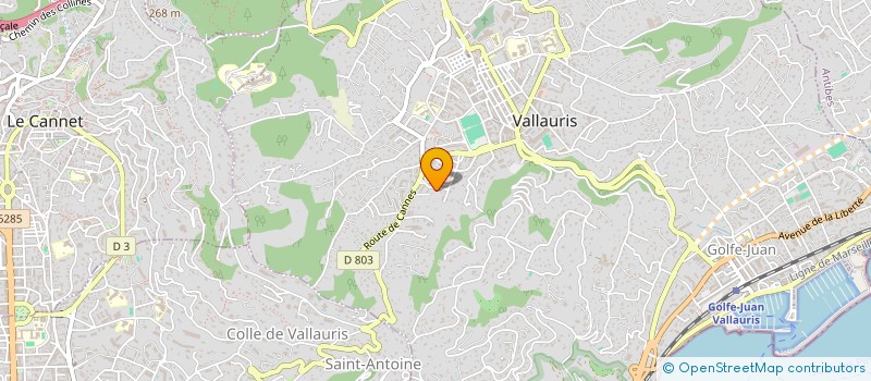 localisation de l'entreprise MONSIEUR TAREK MAOUCHE  VALLAURIS