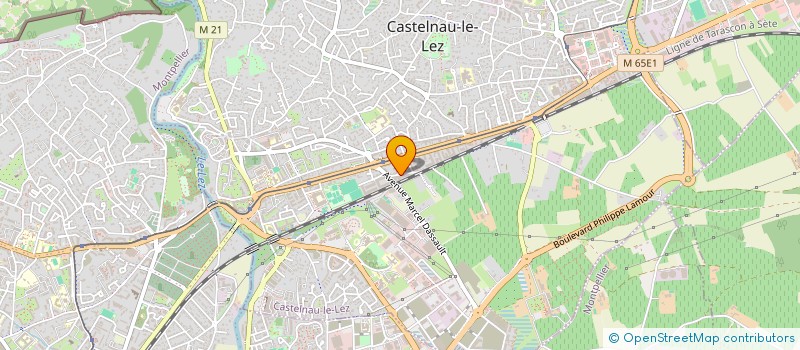 localisation de l'entreprise MONSIEUR TAREK TALAAT ABDELGHANY OSMAN  CASTELNAU-LE-LEZ