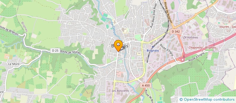 localisation de l'entreprise MONSIEUR TAREQ AHMED  LYON