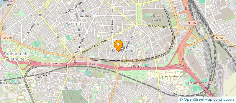 localisation de l'entreprise MONSIEUR TARIK BEN LHACHEMI à LILLE