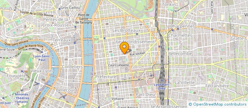 localisation de l'entreprise MONSIEUR TARIK DINE  LYON