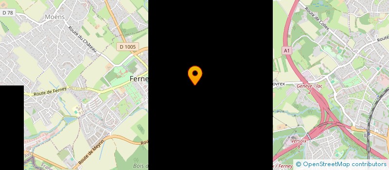 localisation de l'entreprise MONSIEUR TARIK JASAREVIC à FERNEY-VOLTAIRE