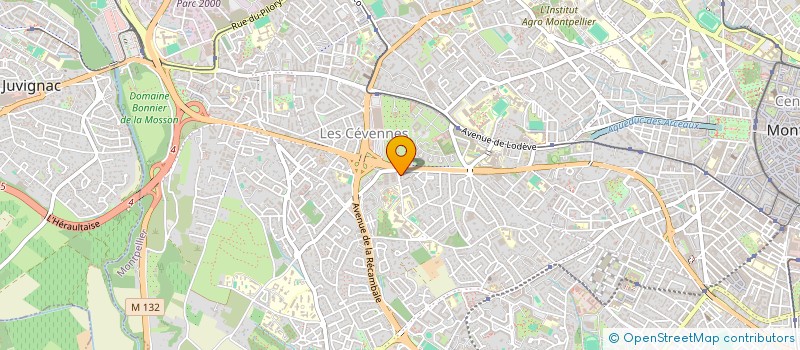 localisation de l'entreprise MONSIEUR TARIK LAMAALAM  MONTPELLIER