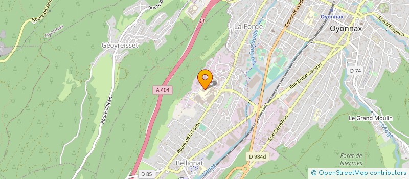 localisation de l'entreprise MONSIEUR TAYFUN KESKIN à ARBENT