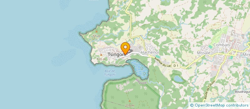 localisation de l'entreprise MONSIEUR TCHICO SOUFFOU à TSINGONI