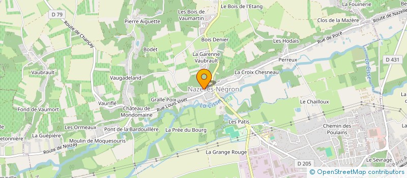 localisation de l'entreprise MONSIEUR TEDDY COUESNON  NAZELLES-NEGRON