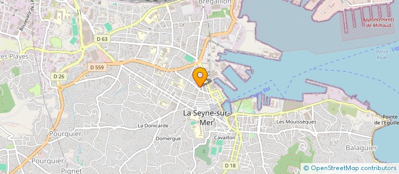 localisation de l'entreprise MONSIEUR TEDDY GANDOLFO  LA SEYNE-SUR-MER