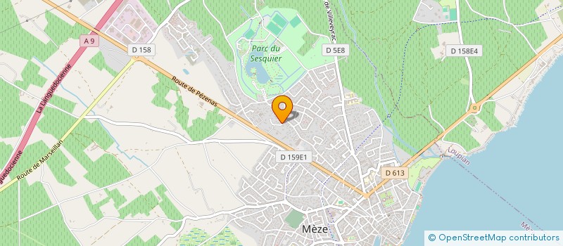 localisation de l'entreprise MONSIEUR TEDDY MENDEZ à MEZE