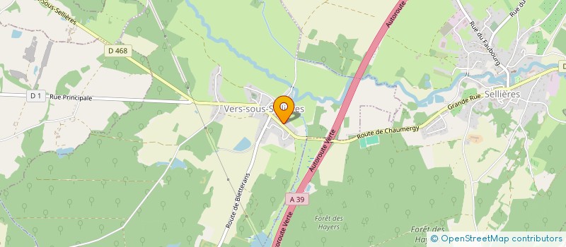 localisation de l'entreprise MONSIEUR TEDDY PERRIN  SELLIERES