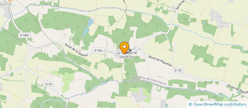 localisation de l'entreprise MONSIEUR TEDDY PEZAT  SAINTE-FOY-DE-PEYROLIERES