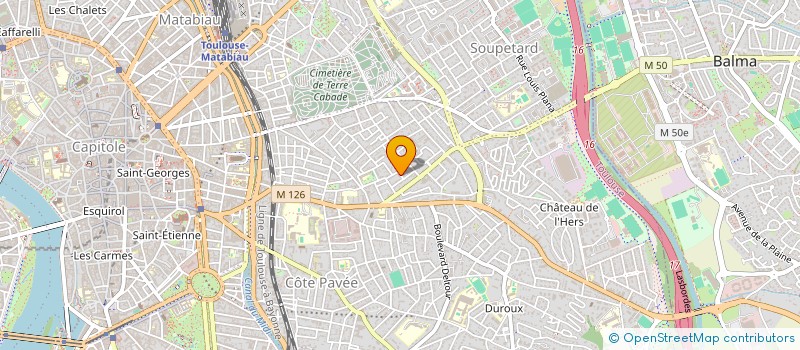 localisation de l'entreprise MONSIEUR TEDDY SYLVAIN SURAY  TOULOUSE