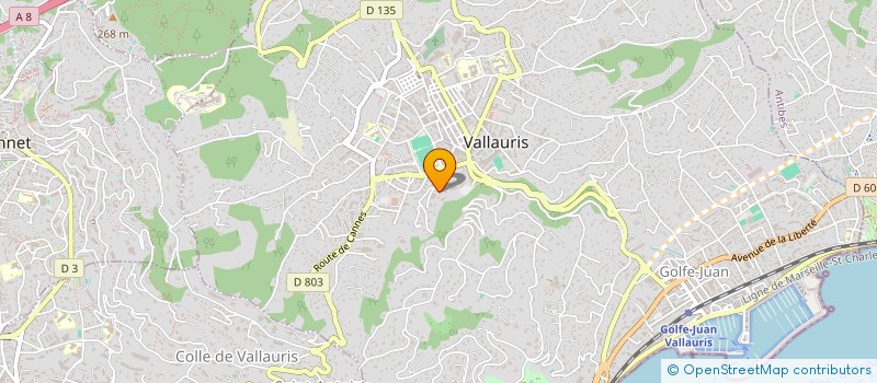 localisation de l'entreprise MONSIEUR TEDDY VELGHE  VALLAURIS