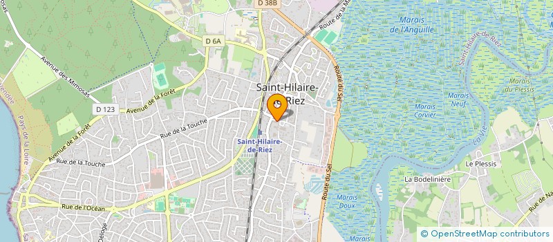 localisation de l'entreprise MONSIEUR TEJEDDINE BARKA à SAINT-HILAIRE-DE-RIEZ