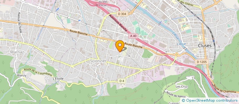 localisation de l'entreprise MONSIEUR TEKIN SEN  SCIONZIER