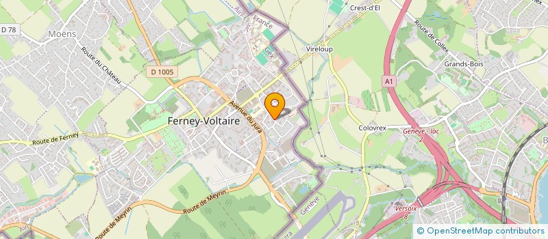 localisation de l'entreprise MONSIEUR TEKLEMARIAM HAILU à FERNEY-VOLTAIRE