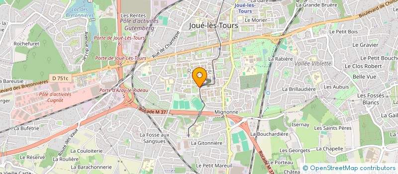 localisation de l'entreprise MONSIEUR TEOMAN ERDEMIR à JOUE-LES-TOURS