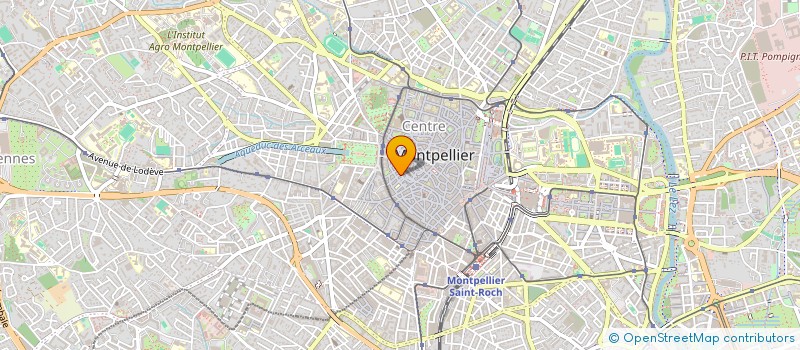 localisation de l'entreprise MONSIEUR TERRY THOR à MONTPELLIER
