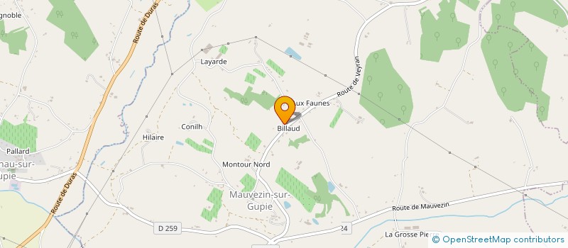 localisation de l'entreprise MONSIEUR TEVA-FLORIAN DUFOSSE  MAUVEZIN-SUR-GUPIE