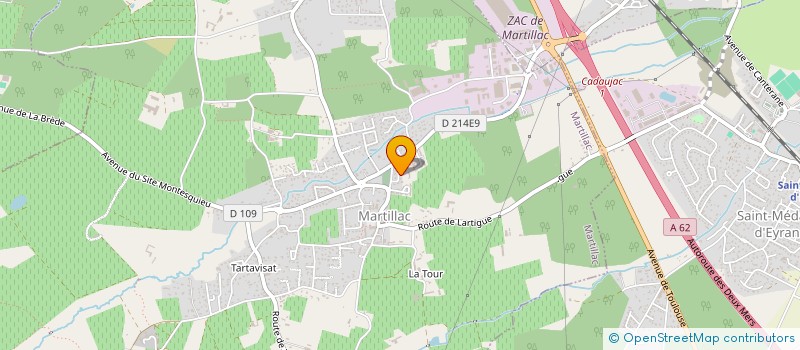 localisation de l'entreprise MONSIEUR TEVARII BONTANT  MARTILLAC