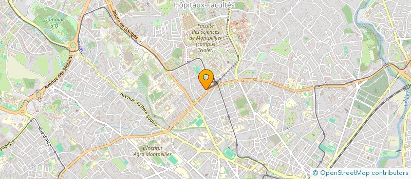 localisation de l'entreprise MONSIEUR THAMER BEN MOHAMED à MONTPELLIER