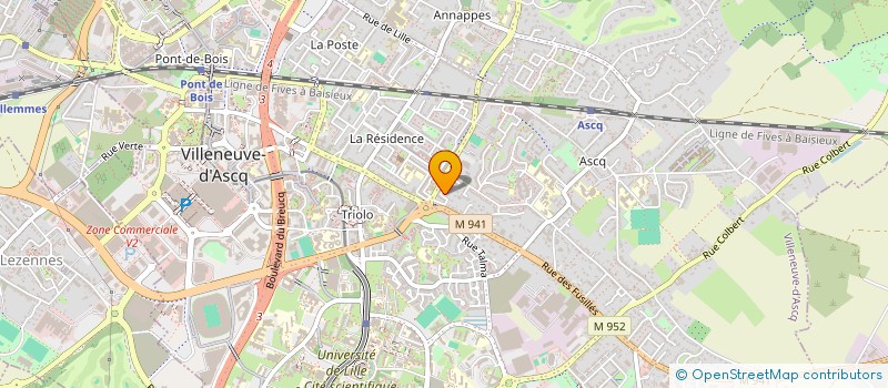 localisation de l'entreprise MONSIEUR THANH NAM NGUYEN à VILLENEUVE-D'ASCQ