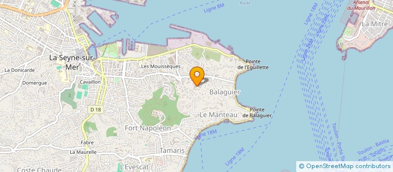 localisation de l'entreprise MONSIEUR THANH TUNG NGUYEN à LA SEYNE-SUR-MER