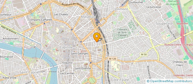 localisation de l'entreprise MONSIEUR THEAU DE BUHREN à TOULOUSE