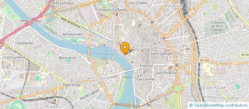 localisation de l'entreprise MONSIEUR THEAUD MOGA  TOULOUSE