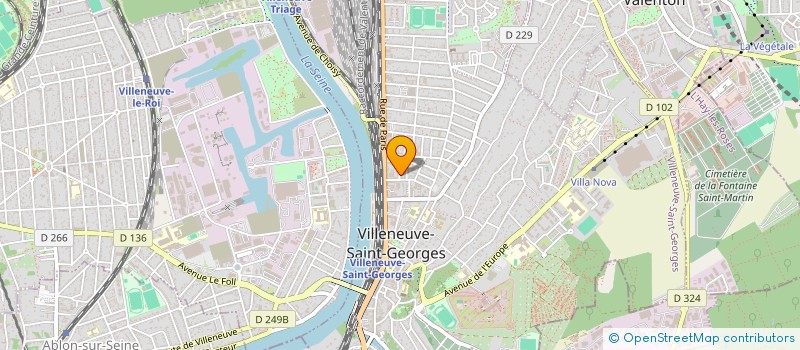 localisation de l'entreprise MONSIEUR THEMOUR SHABEER  VILLENEUVE-SAINT-GEORGES