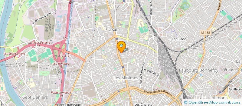 localisation de l'entreprise MONSIEUR THEO ANTO  TOULOUSE