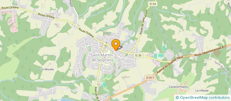localisation de l'entreprise MONSIEUR THEO BAILLEUL  SAINT-MARTIN-DE-SEIGNANX