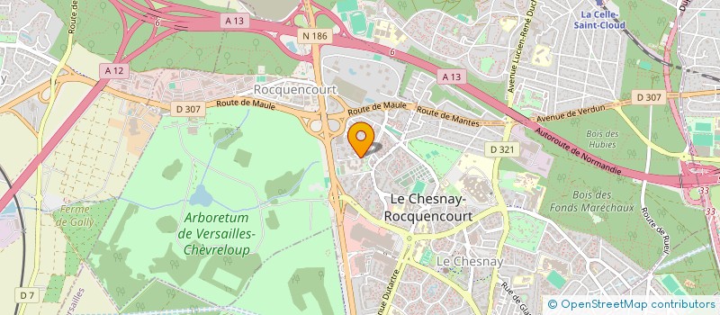 localisation de l'entreprise MONSIEUR THEO BALES  LE CHESNAY-ROCQUENCOURT